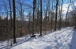 0WP Junction Rd, Guilford, NY 13733