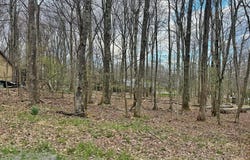 Anemone Lane, Terra Alta, WV 26764
