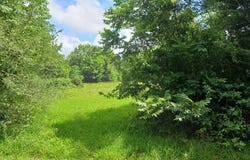 CAHILL DR., Angleton, TX 77515