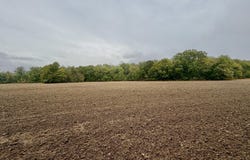 Youngblood Road, Dundee, MS 38626