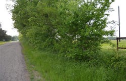 Tbd Lot 1 RS County Road 1520, Point, TX 75472