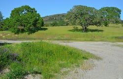 2186 Monticello Road, Napa, CA 94558