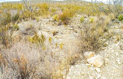 65 Red Draw Rd, Terlingua, TX 79852