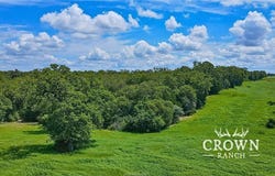 Tbd FM 908 (+/-1,057 acres), Caldwell, TX 77836