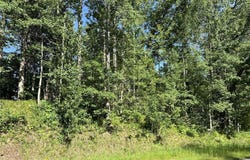 Lot 8 Terminal Road, Breezy Point, MN 56472