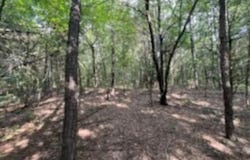 0 Truman Reynolds Road, Quitman, AR 72131
