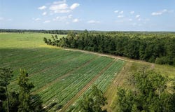 00 County Road 2180, Grapeland, TX 75844