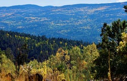 1 The Ranch at Angel Fire, Angel Fire, NM 87710