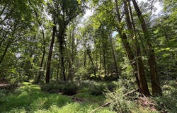 BEAR BRANCH ROAD, WESTMINSTER, MD 21157
