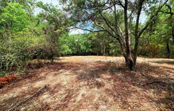34 Dune Oaks Dr., Georgetown, SC 29440