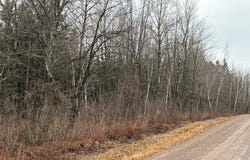 ON Sheep Camp Road, Ladysmith, WI 54848