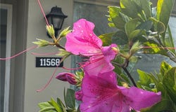 11568 W Bayshore Drive unit: 17, Crystal River, FL 34429
