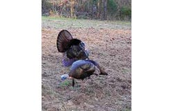 000 County Road 35, Midway, AL 36053