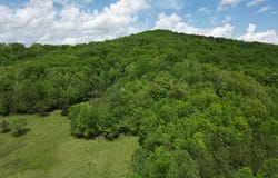 1111 Morris Lane, Heidrick, KY 40949