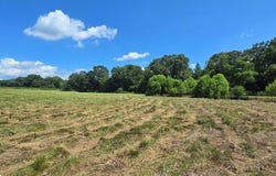 3.347 Acres County Rd 91, Slocomb, AL 36375