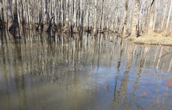 0 Lee Rd 177, Aubrey, AR 72360