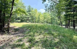 Parcel E W Big Sky Trail, Maple City, MI 49664