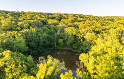 000 Highway 75 81.13 ac, Okmulgee, OK 74447