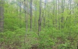 Lot 2 Buckeye Lane, Stone Lake, WI 54876