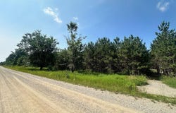 7304 Hemstreet Road, Bellaire, MI 49615