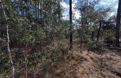 SE 133RD AVENUE, DUNNELLON, FL 34431