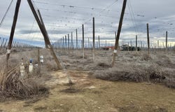 7801 Campbell Rd, Toppenish, WA 98948