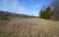 10734 Long Valley Drive, Plato, MO 65552