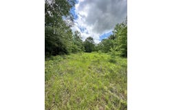 4130 GA HWY 0026, BUENA VISTA, GA 31803