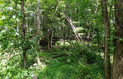 Township Road 1151, Nova, OH 44859