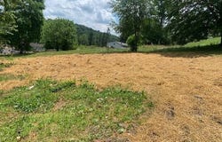 254 Third Street, Belington, WV 26250