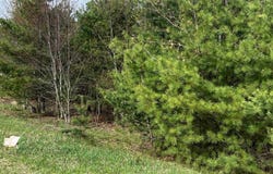 LOT 19 CUSHMAN COURT LOT #19, WILLIAMSBURG, MI 49690