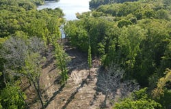306 Streamside Dr, DOVER, TN 37058