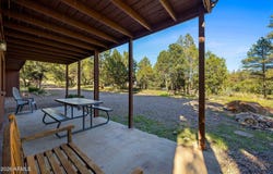 2861 LODGEPOLE Road, Overgaard, AZ 85933