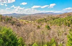425 Rhonda Lane, Mineral Bluff, GA 30559