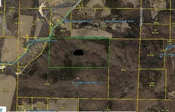 Tract 2 County Road 14-534, Ava, MO 65608