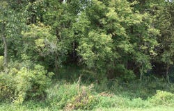Washington Road, Stoughton, WI 53589
