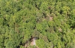 231 Tate Chapman Road, Simpsonville, SC 29681