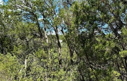 20606 Park DR, Lago Vista, TX 78645