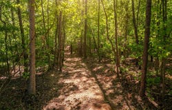 00 Princeton Highway, Honea Path, SC 29654