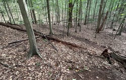 12636 MILL DAM DRIVE, CLIFTON, VA 20124
