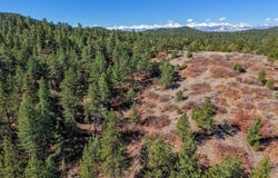 171 Thomas Ln, Cotopaxi, CO 81223