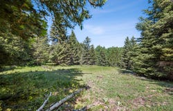 Smokey Mountain Drive, Anaconda, MT 59711