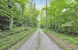 0 Lot #1 Thad Hall Road, Laurelville, OH 43135