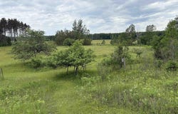 T16363BD W Polly Rd, Engadine, MI 49009