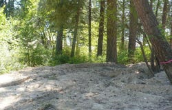 4619 Terrace Rd, Loon Lake, WA 99148