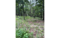 Beechnut Road, Stover, MO 65078