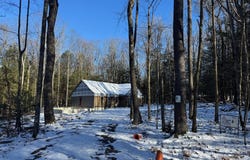 62 WILD TURKEY Court, OAKLAND, MD 21550