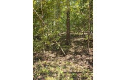 000 County Road 421, Birch Tree, MO 65438