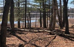 EDDIES DR lot: On, Eagle River, WI 54521