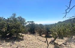 54 Tanglewood, Datil, NM 87821